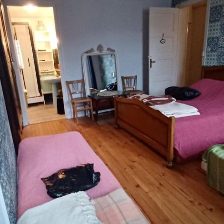 Chez Virginie - Chambre Du Bourg Lourdes Exterior foto